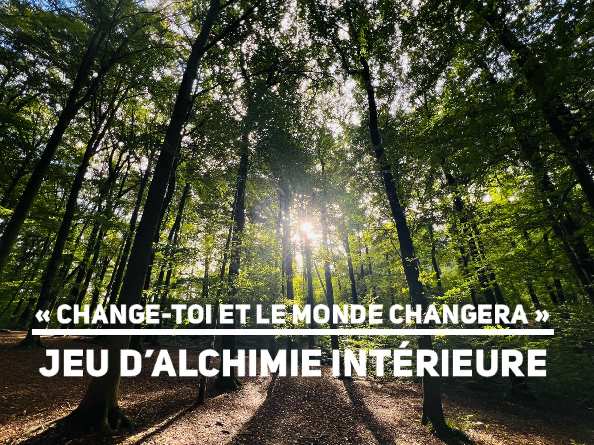 Le jeu - Change-toi et le monde changera